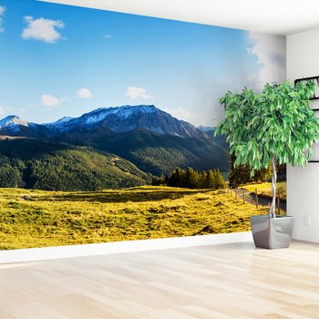 Fototapeta - góry, las, niebo