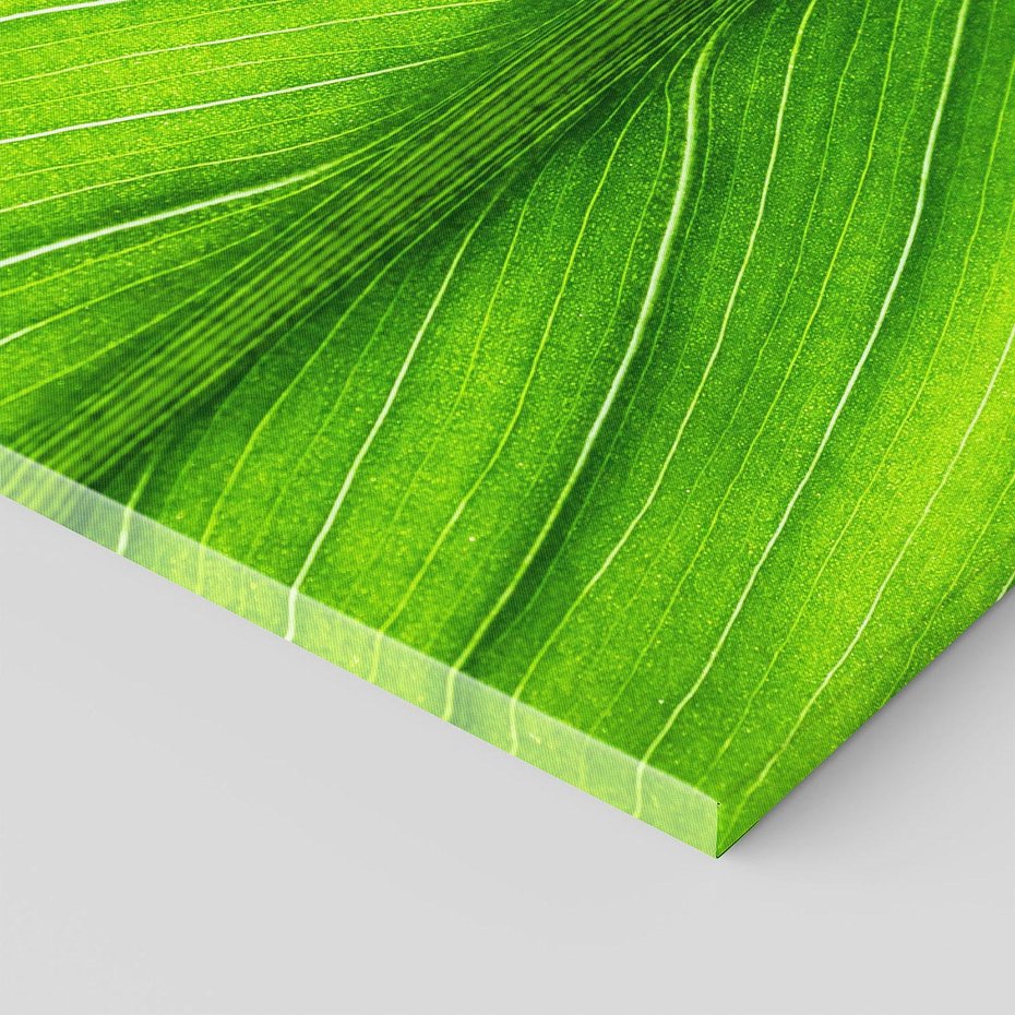 Obraz na płótnie - liść, zieleń, natura