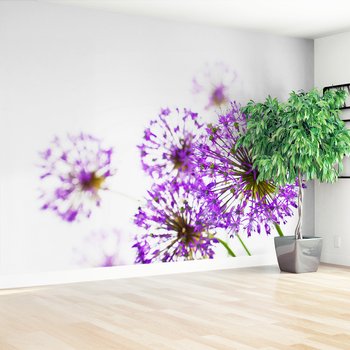 Fototapeta - kwiat, fioletowy, kulisty