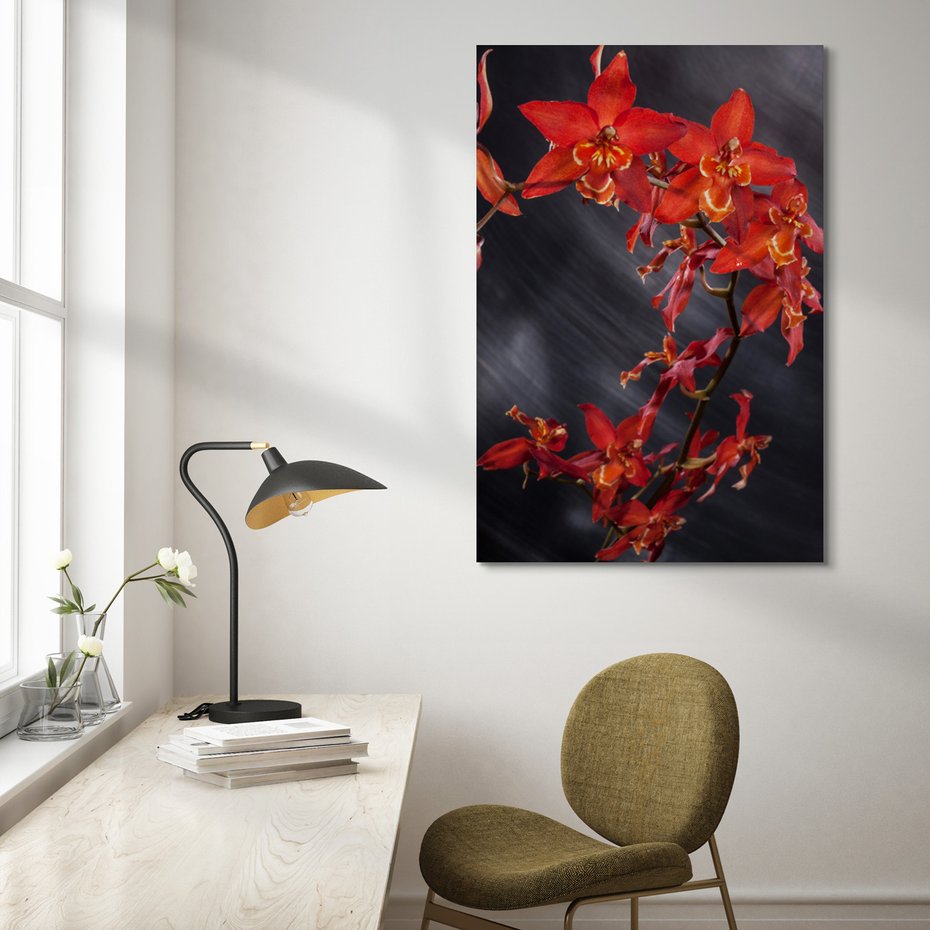 Obraz na płótnie - kwiaty, czerwone, orchidee