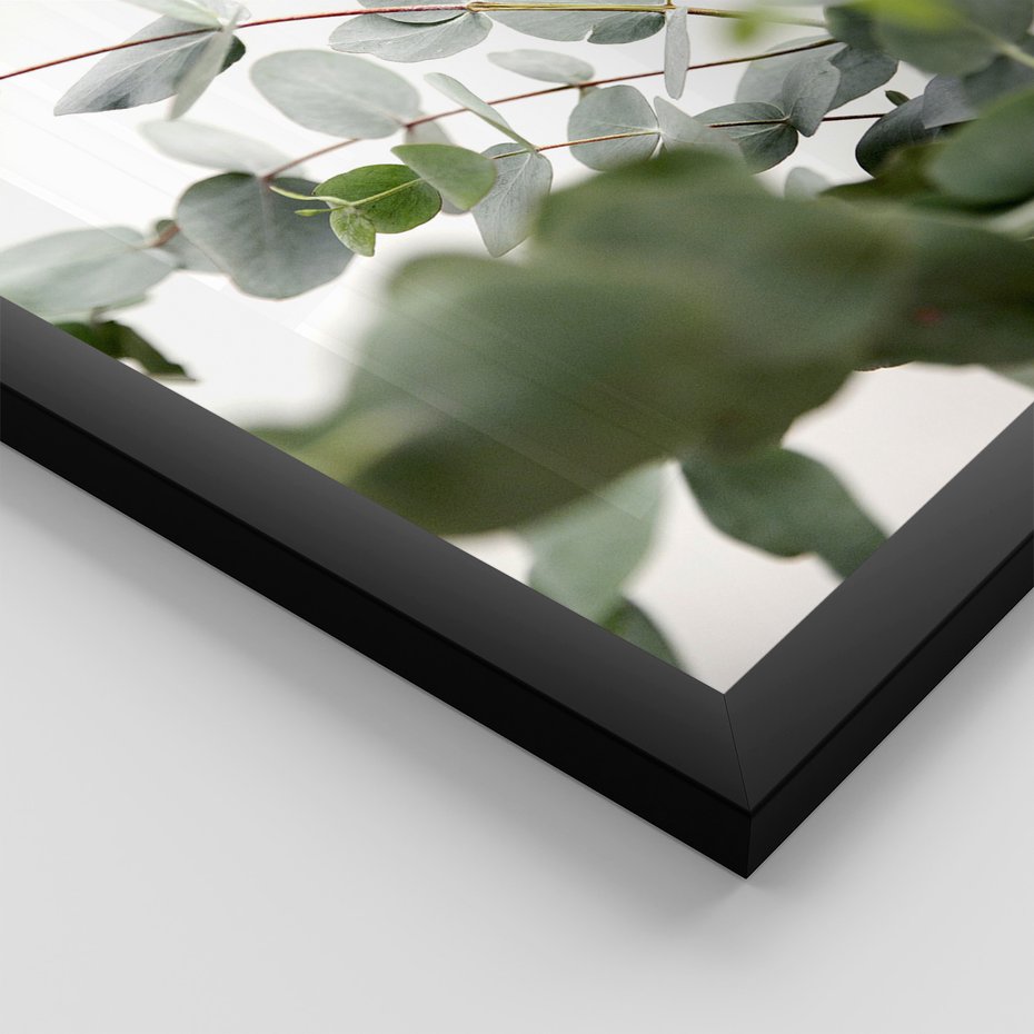 Zestaw obrazy w ramie, plakaty - eukaliptus, liście, roślina - rama czarna
