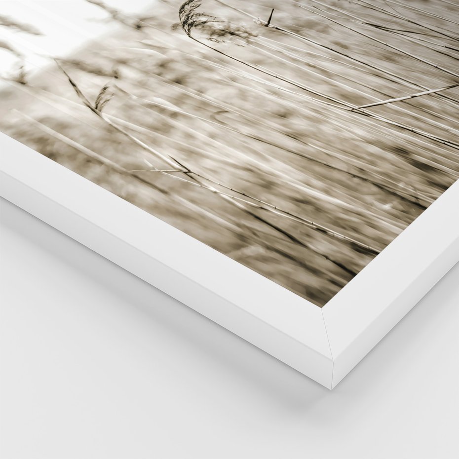 Zestaw obrazy w ramie, plakaty - natura, dom, rośliny - rama biała