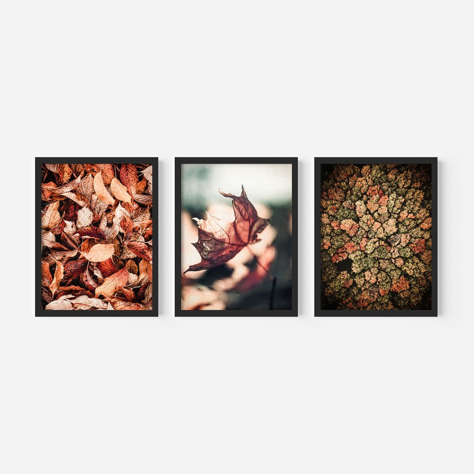 Zestaw obrazy w ramie, plakaty - liście,jesień,drzewa - rama czarna