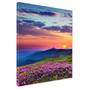Obraz na płótnie - góry, kwiaty, krajobraz