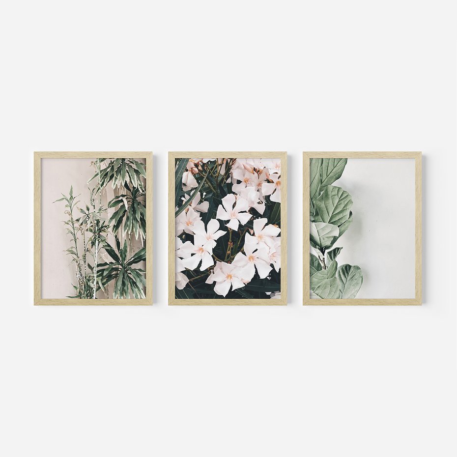 Zestaw obrazy w ramie, plakaty - rośliny, kwiaty, liście - rama drewno