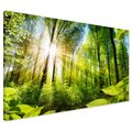 Obraz na płótnie - las, słońce, natura