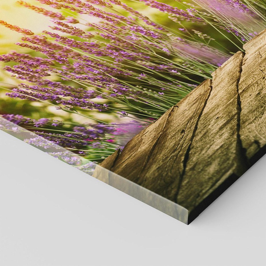 Obraz na płótnie - kwiaty, lawenda, natura