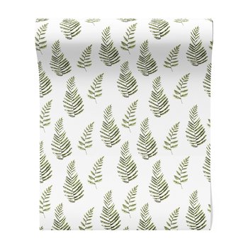 Tapeta - liście, paproć, natura