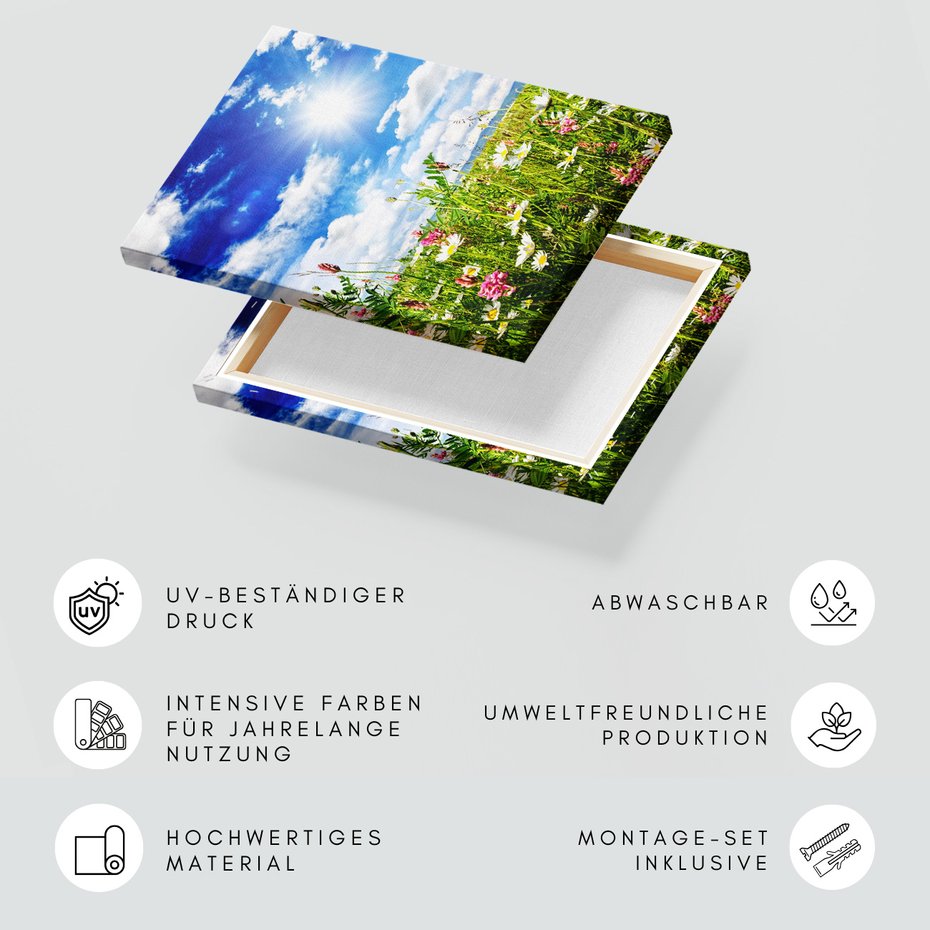 Obraz na płótnie - łąka, kwiaty, niebo