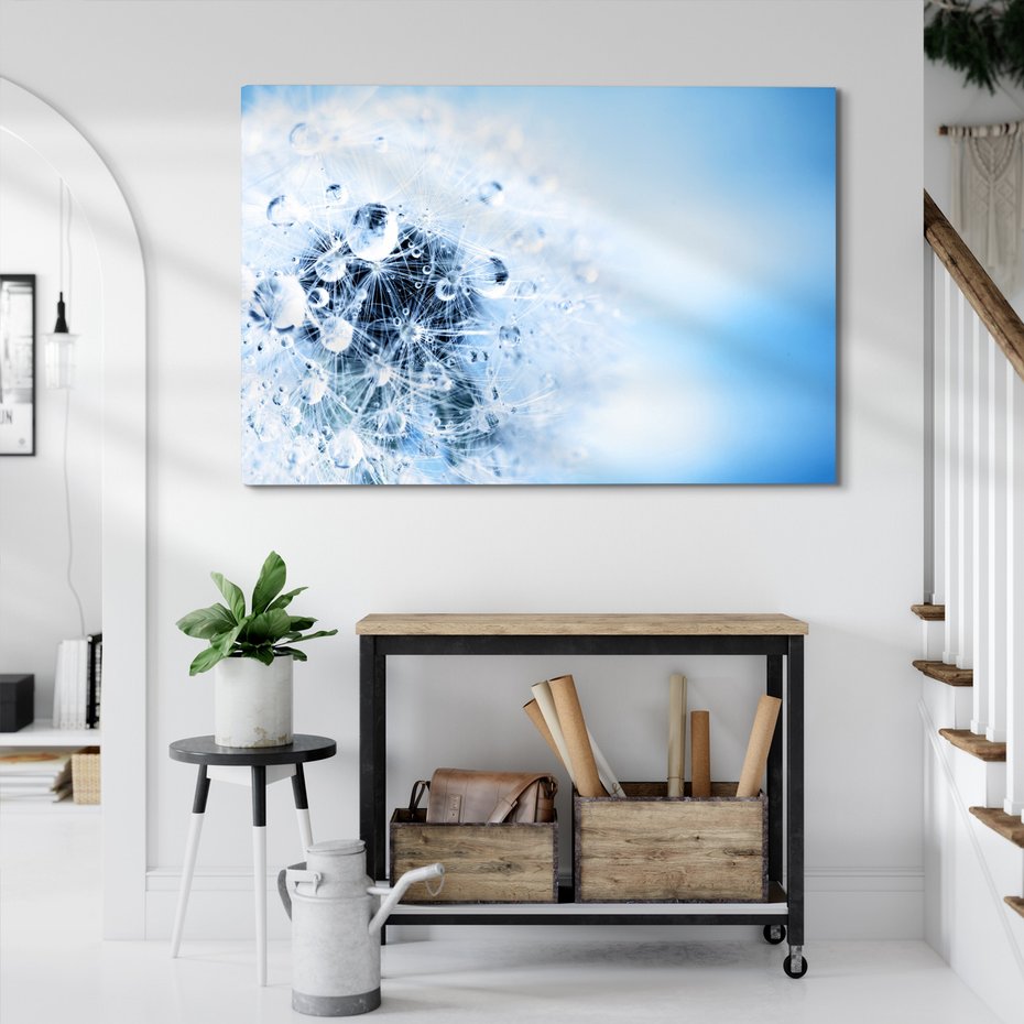 Obraz na płótnie - dmuchawiec, krople, natura