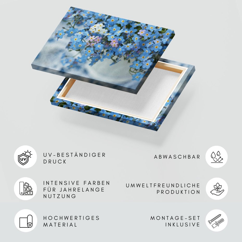 Obraz na płótnie - niezapominajki, kwiaty, wiosna