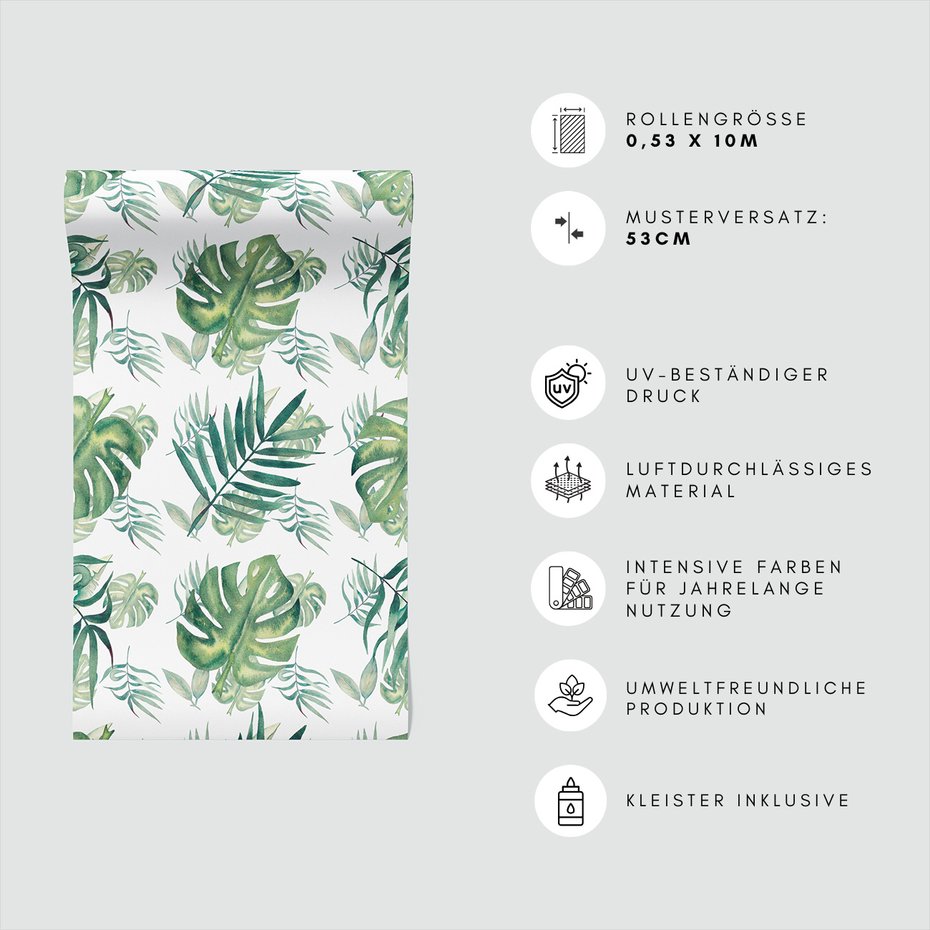 Tapeta - liście, monstera, natura