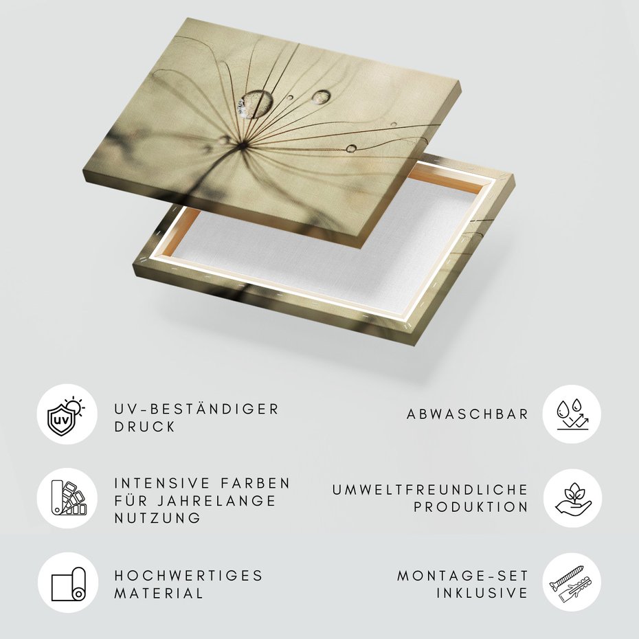 Obraz na płótnie - nasiona, krople, natura