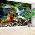 Fototapeta - tygrys, wodospad, natura