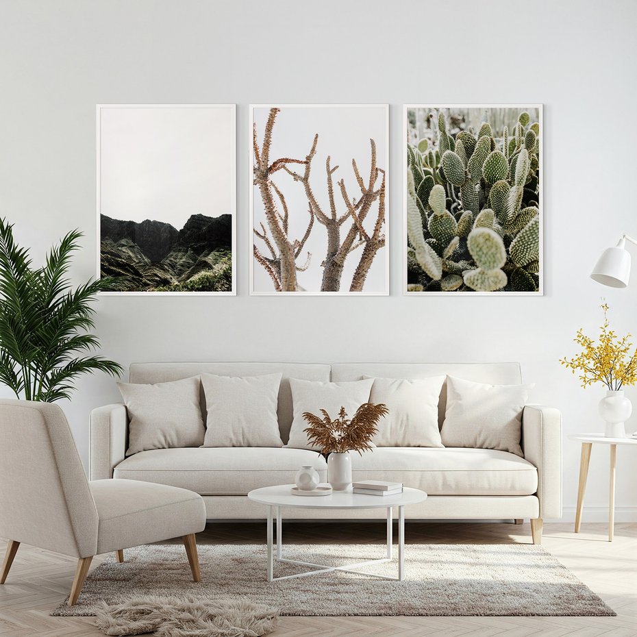 Zestaw obrazy w ramie, plakaty - góry, kaktus, rośliny - rama biała