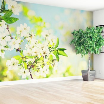 Fototapeta - kwiaty, wiosna, kwitnienie