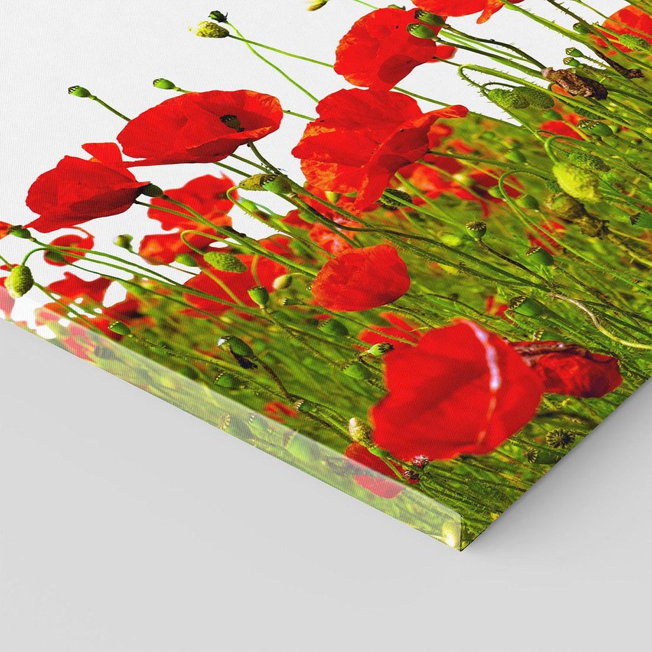 Obraz na płótnie - maki, kwiaty, lato
