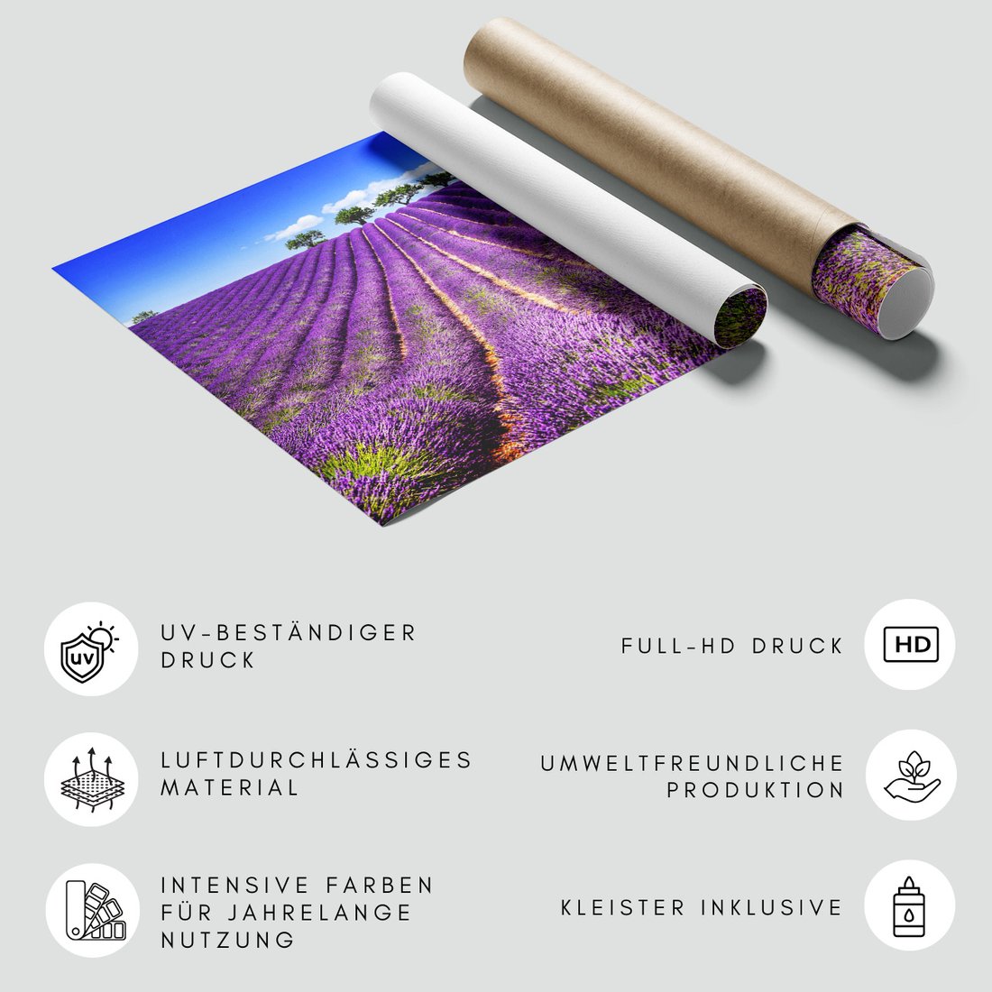 Fototapeta - lawenda, pole, lato