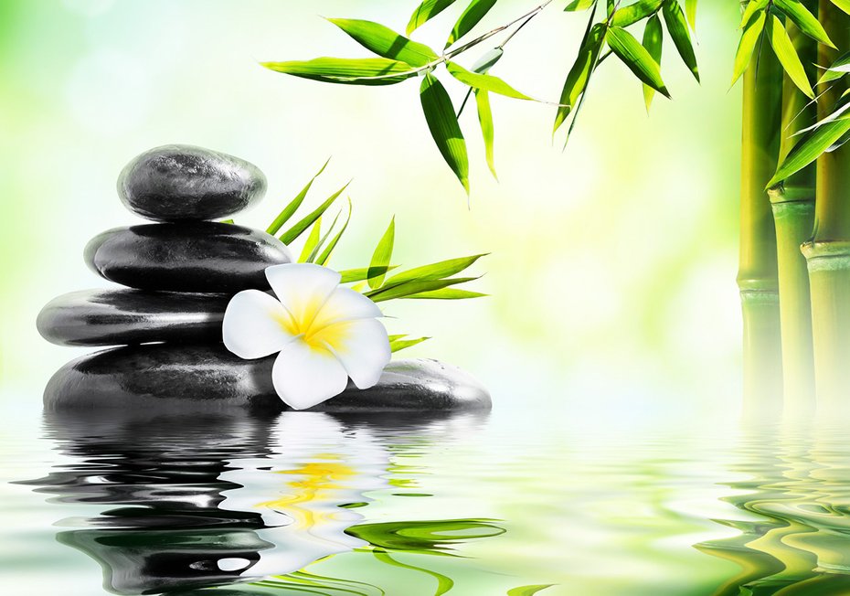 Fototapeta - kamienie, bambus, kwiat