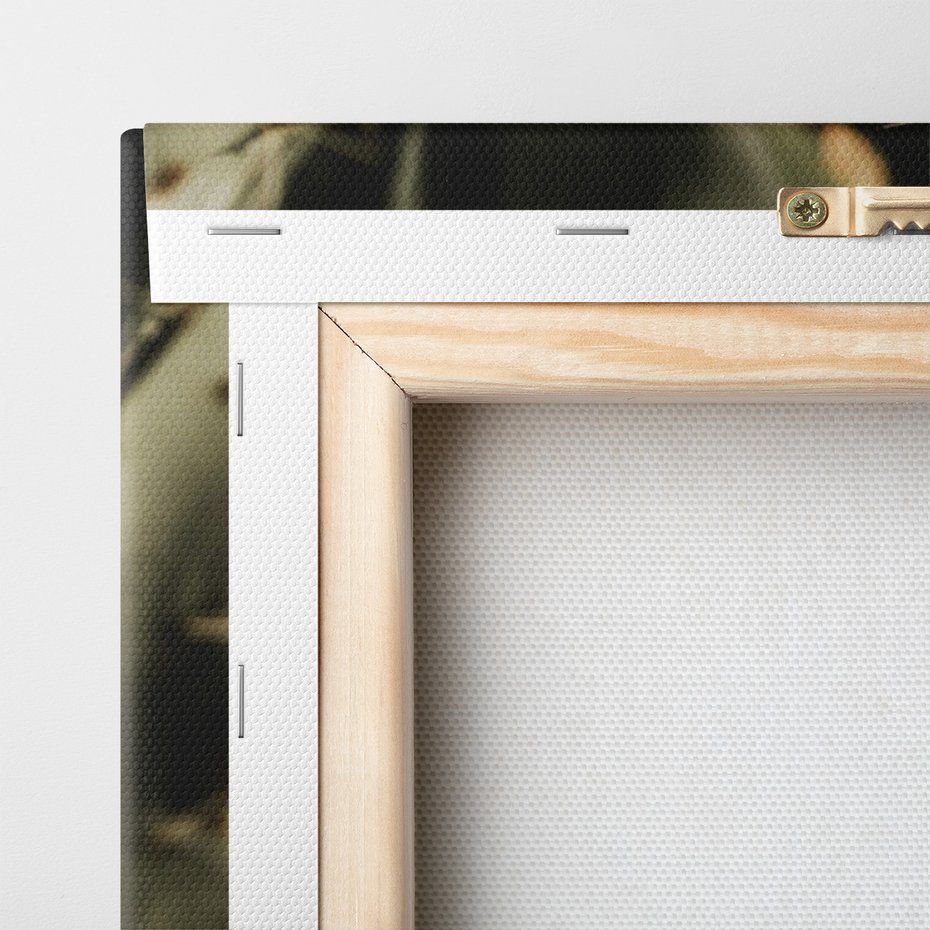 Obraz na płótnie - kaktus, kolce, pustynia