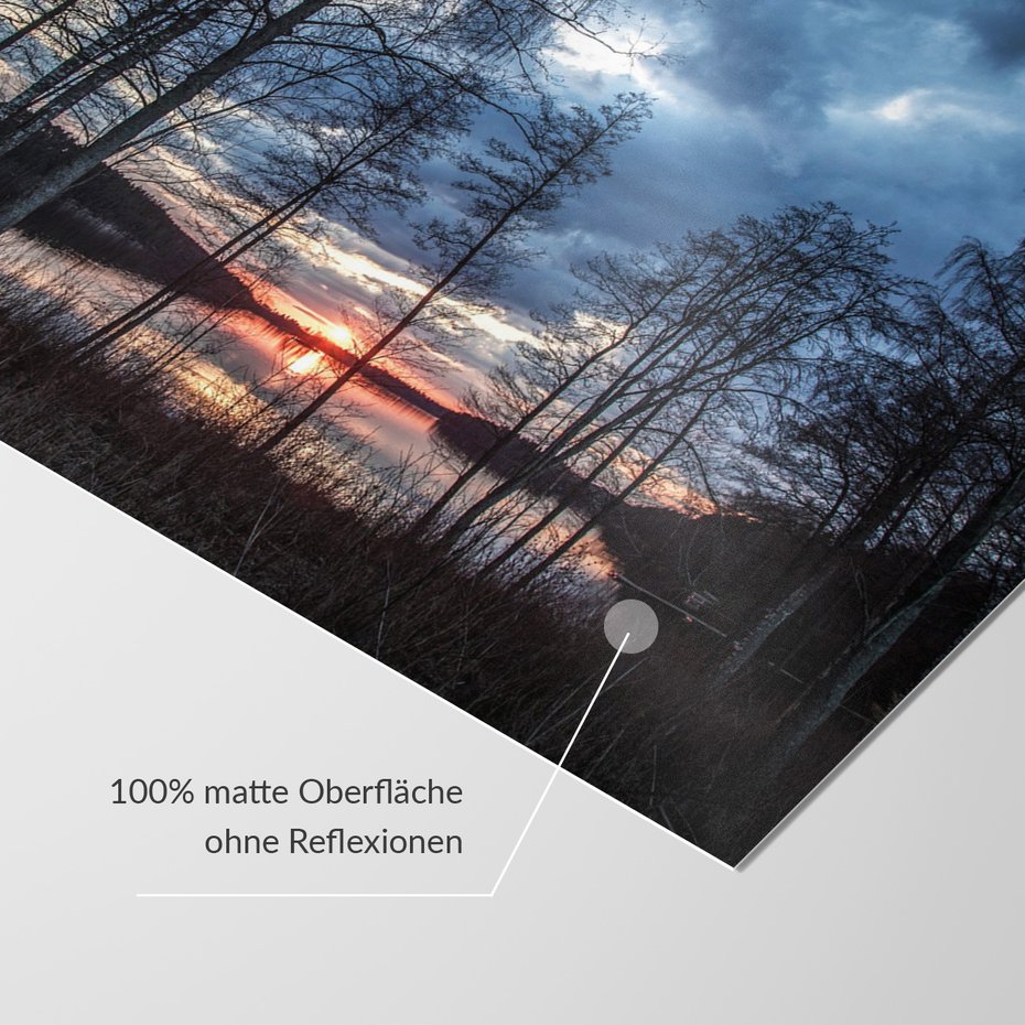 Fototapeta - jezioro, drzewa, zachód słońca