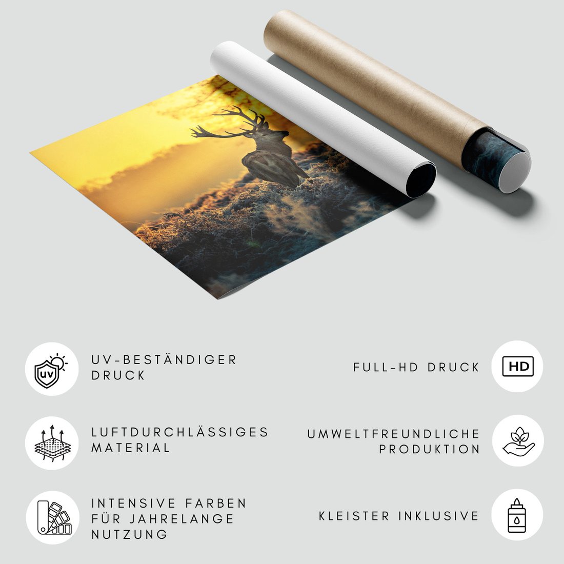 Fototapeta - jeleń, poroże, natura