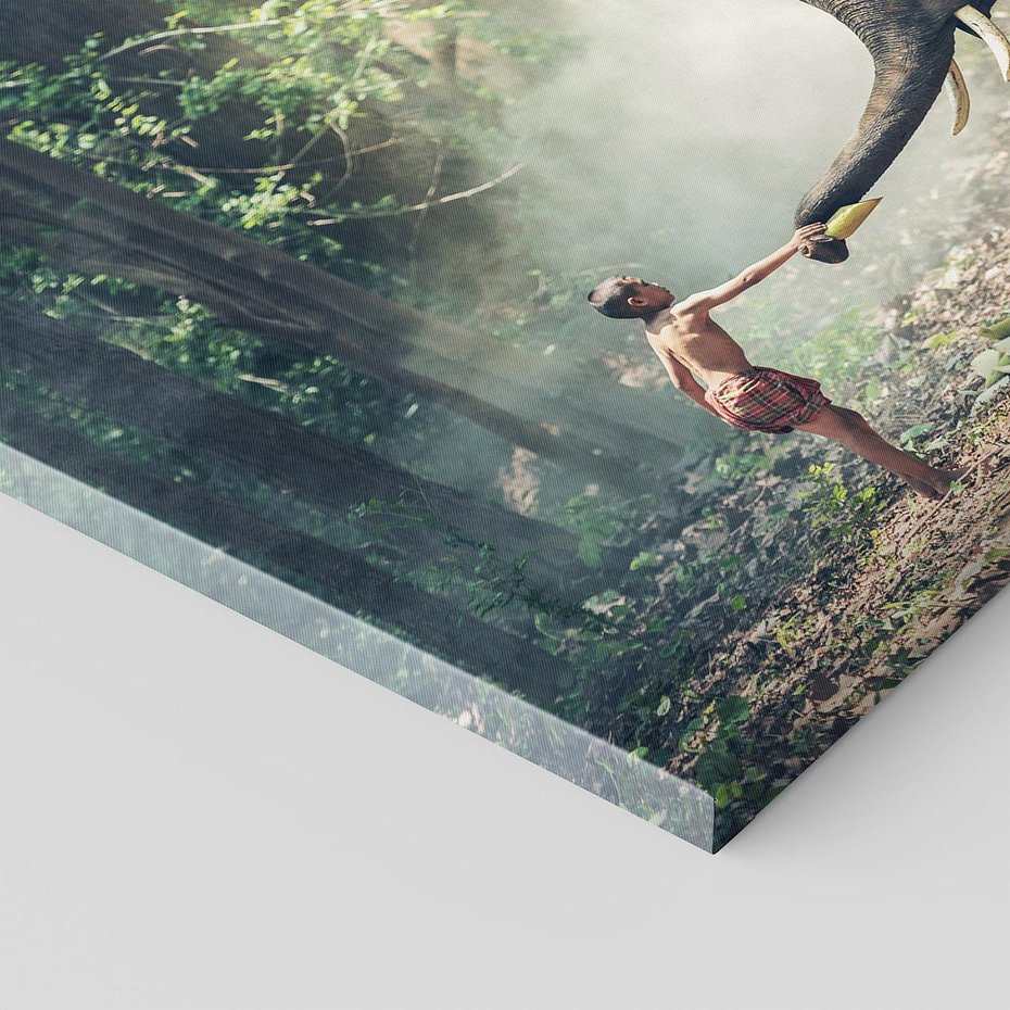 Obraz na płótnie - słoń, chłopiec, las