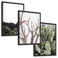 Zestaw obrazy w ramie, plakaty - góry, kaktus, rośliny - rama czarna