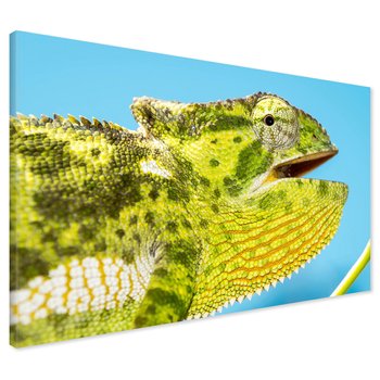 Obraz na płótnie - kameleon, jaszczurka, gad