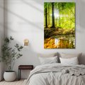 Obraz na płótnie - las, drzewa, przyroda