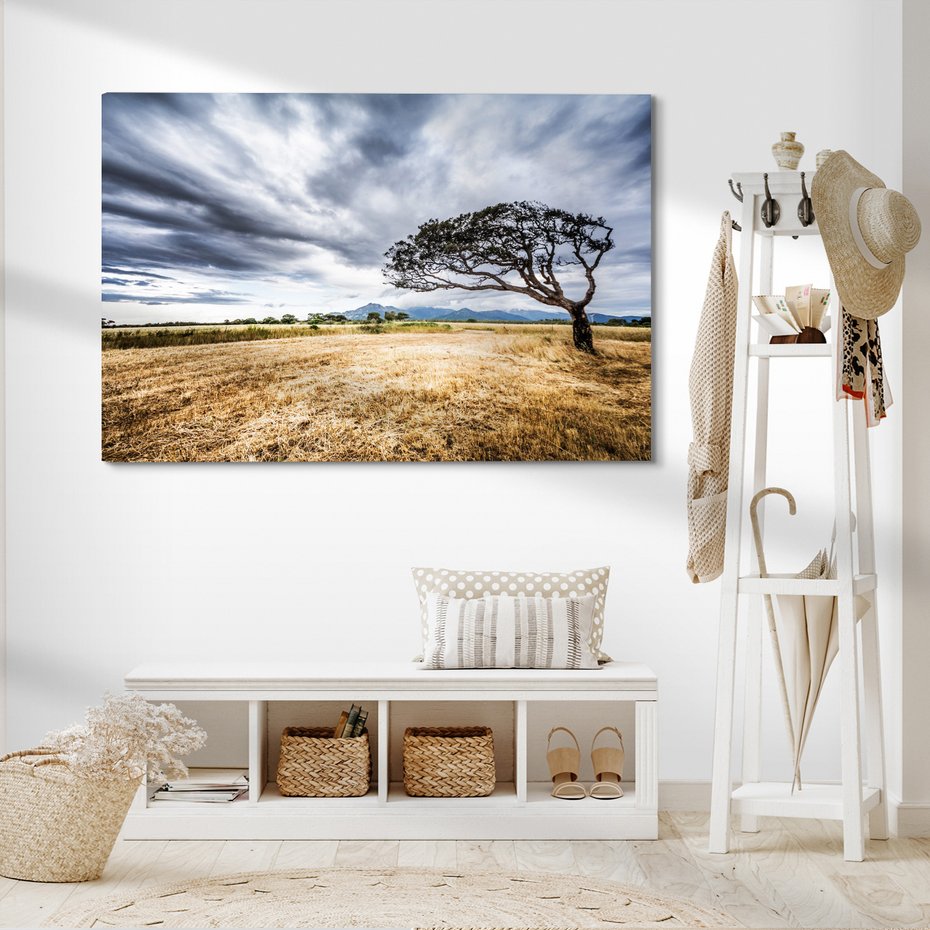 Obraz na płótnie - krajobraz, drzewo, chmury