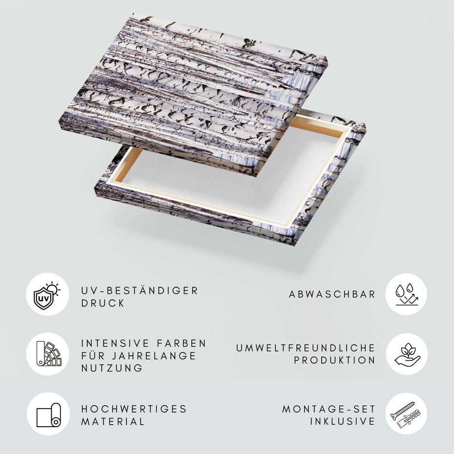 Obraz na płótnie - las, brzozy, zima