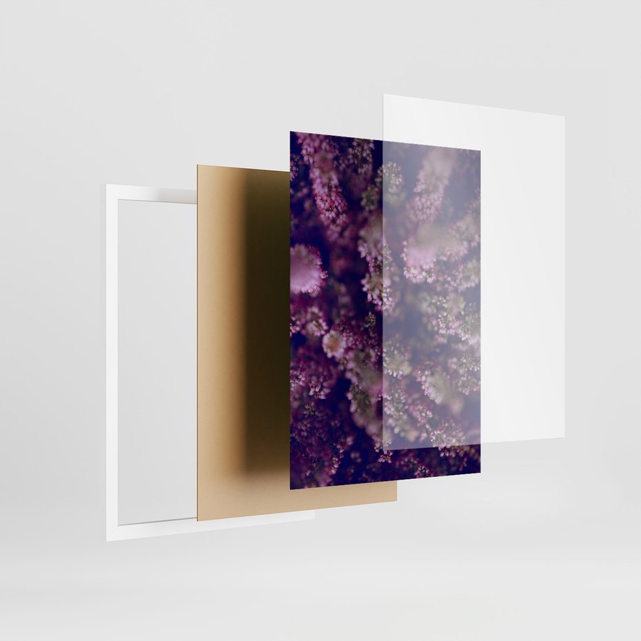 Zestaw obrazy w ramie, plakaty - lawenda, pole, kwiaty - rama biała