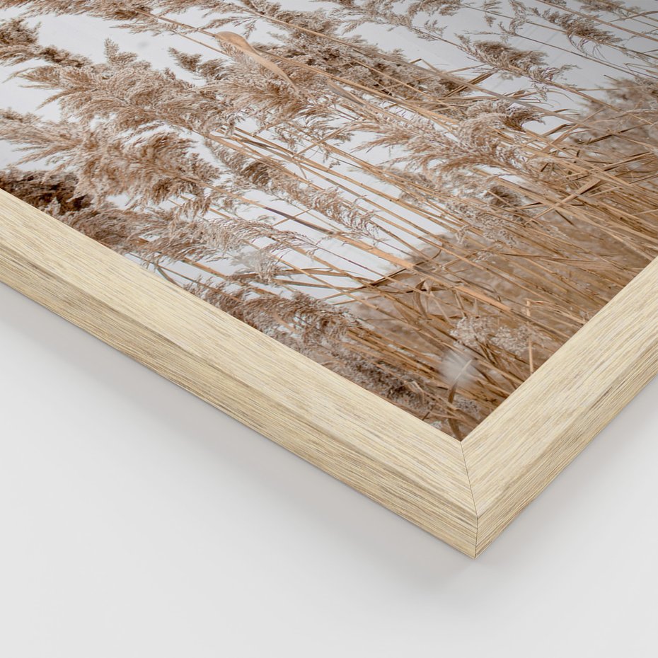 Zestaw obrazy w ramie, plakaty - trzcina, plaża, morze - rama drewno