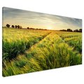 Obraz na płótnie - pole, zboże, lato