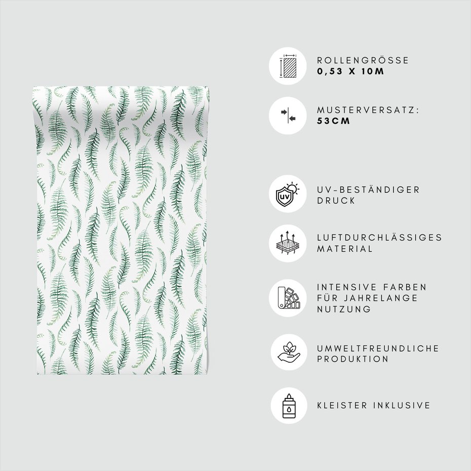 Tapeta - paproć, liście, natura