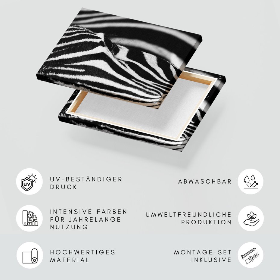 Obraz na płótnie - zebra, zwierzę, paski