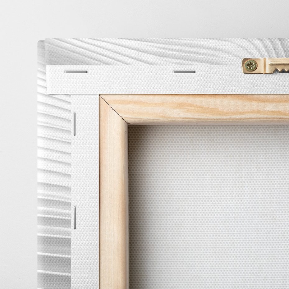 Obraz na płótnie - abstrakcja, fale, biały