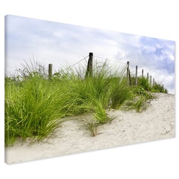 Obraz na płótnie - plaża, trawa, wydmy