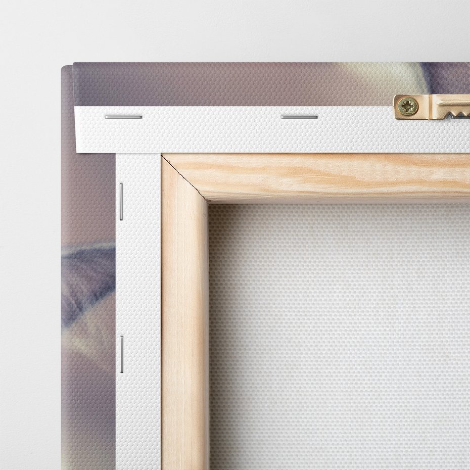 Obraz na płótnie - kot, zwierzę, portret