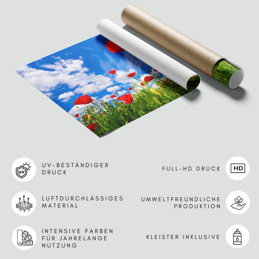 Fototapeta - maki, kwiaty, lato