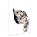 Obraz na płótnie - kot, zwierzę, portret