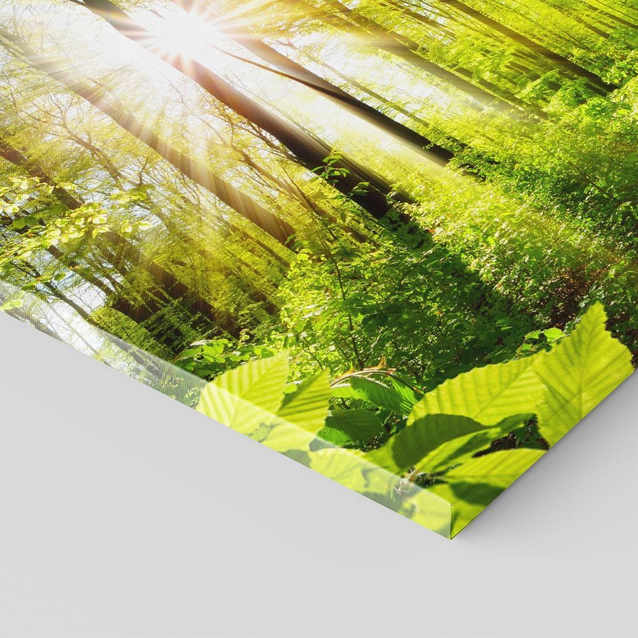 Obraz na płótnie - las, słońce, natura