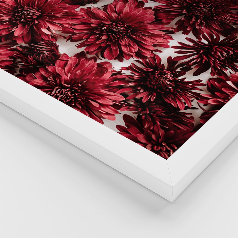 Zestaw obrazy w ramie, plakaty - kwiaty, okno, typografia - rama biała