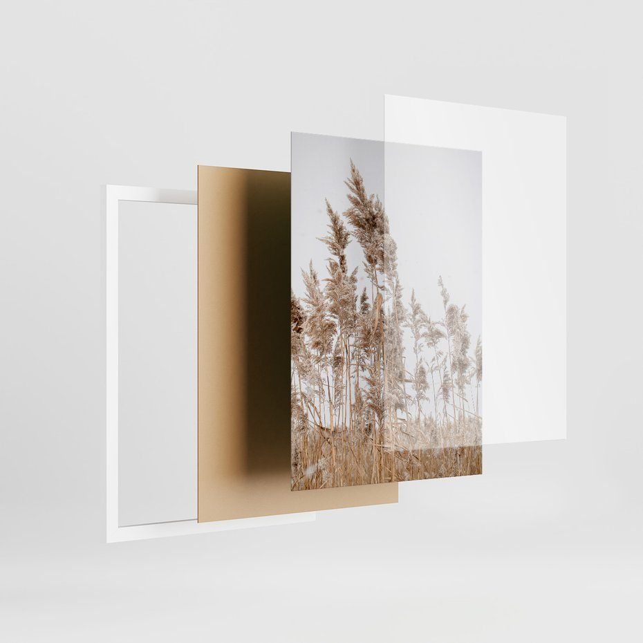 Zestaw obrazy w ramie, plakaty - trzcina, plaża, morze - rama biała