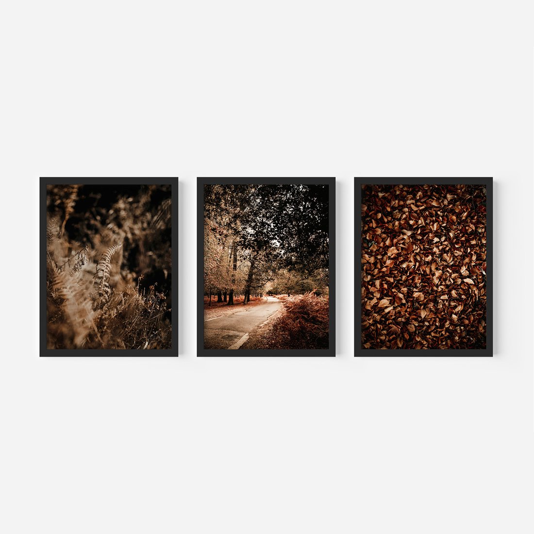 Zestaw obrazy w ramie, plakaty - jesień, liście, natura - rama czarna