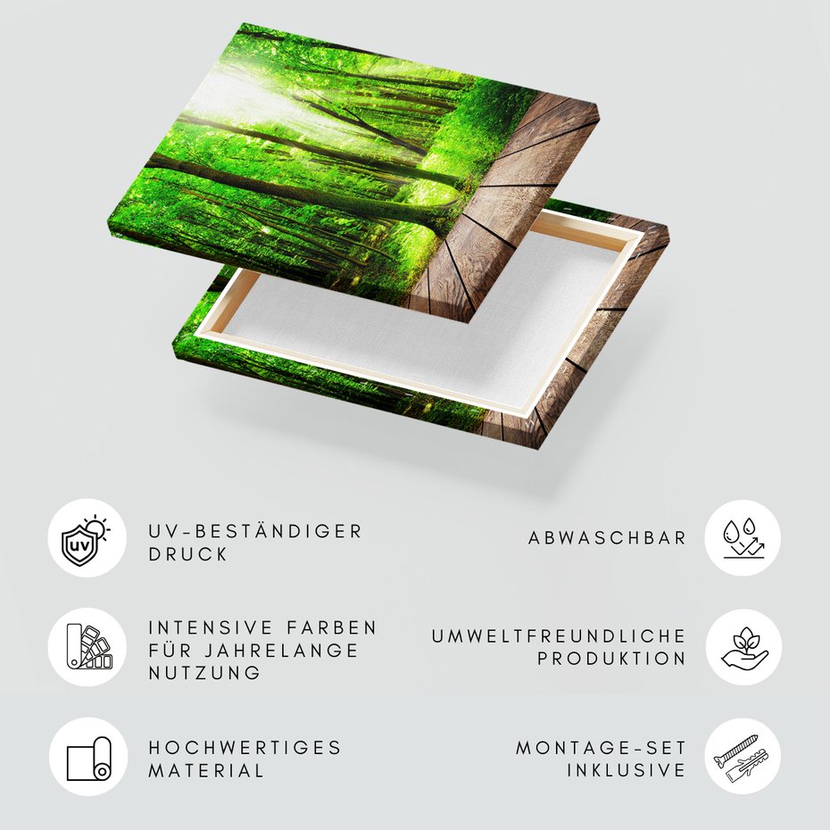 Obraz na płótnie - las, drzewa, przyroda