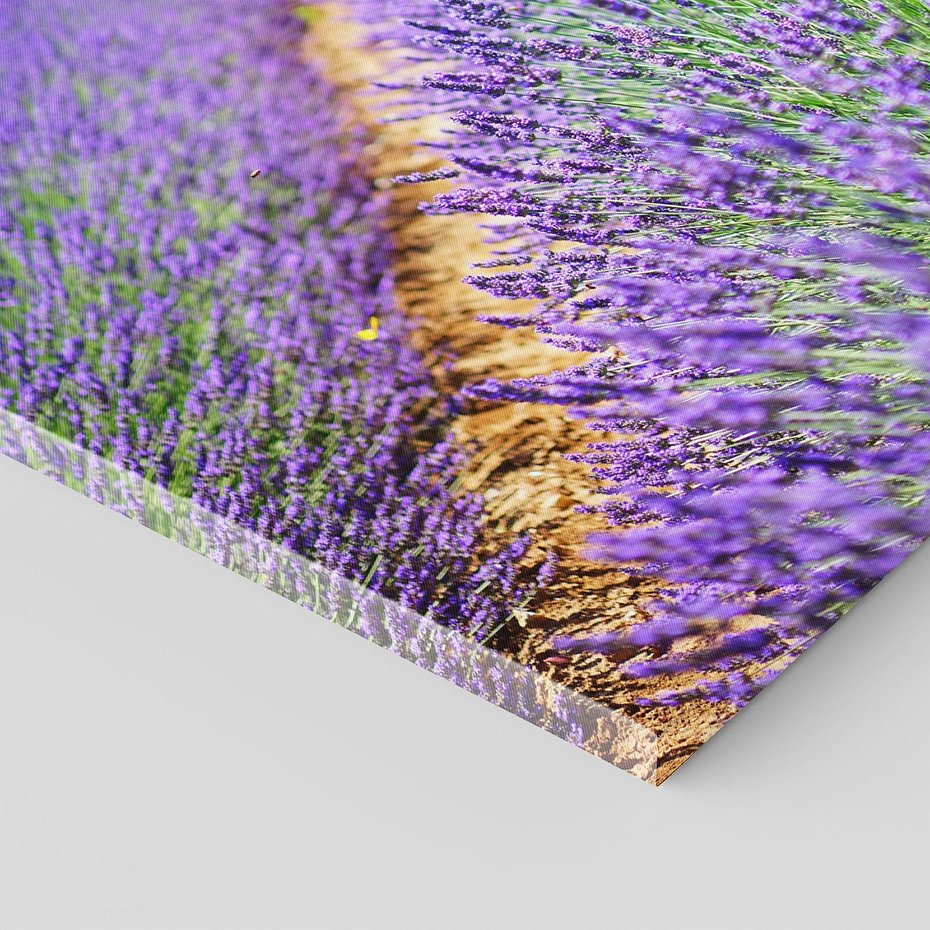 Obraz na płótnie - lawenda, pole, kwiaty