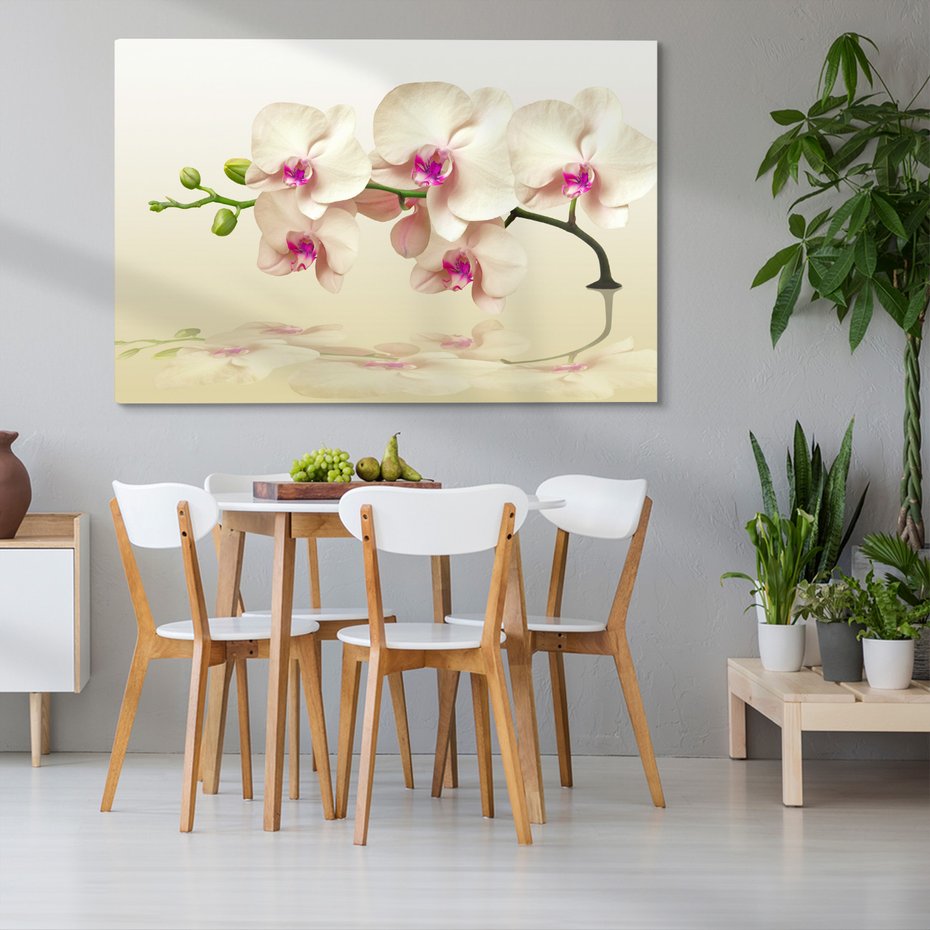 Obraz na płótnie - orchidee, kwiaty, elegancja