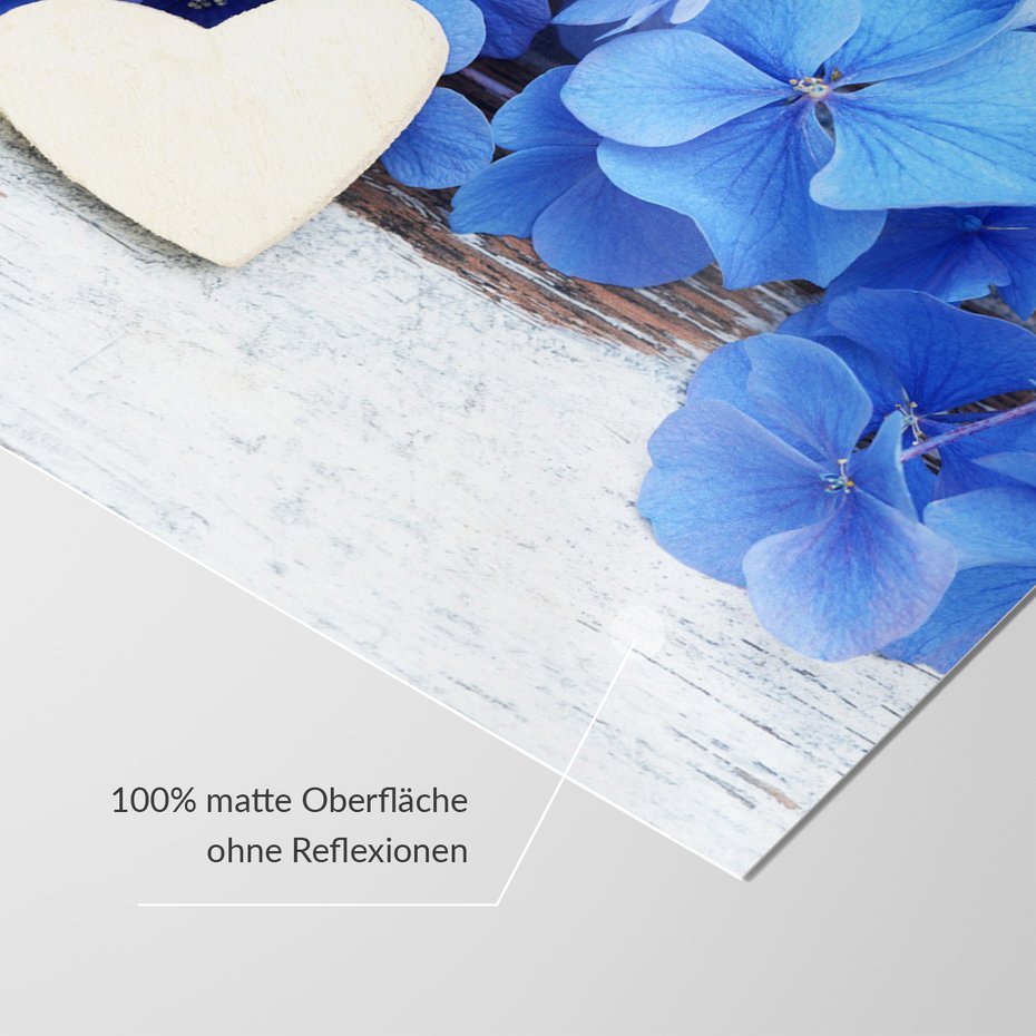 Fototapeta - hortensje, serce, kwiaty